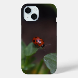 Ladybug auf Blume Case-Mate iPhone Hülle