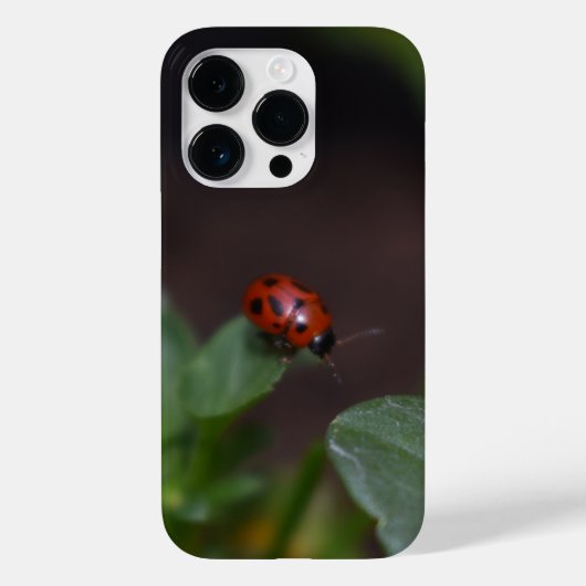 Ladybug auf Blume Case-Mate iPhone Hülle (Rückseite)