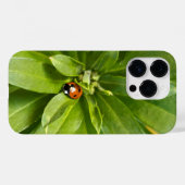 Ladybug auf Blume Case-Mate iPhone Hülle (Rückseite (Horizontal))
