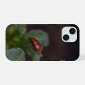 Ladybug auf Blume iPhone 15 Hülle (Rückseite (Horizontal))