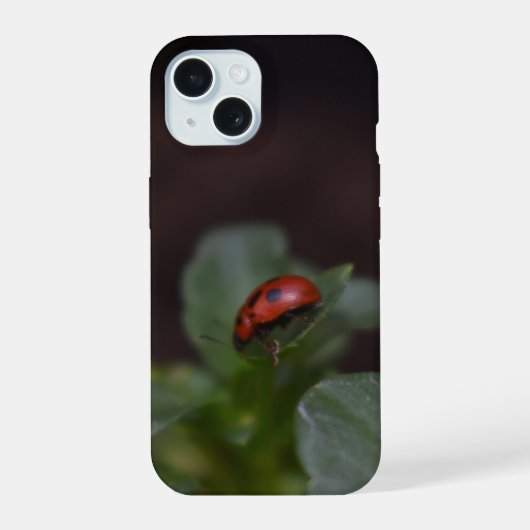 Ladybug auf Blume iPhone 15 Hülle (Rückseite)