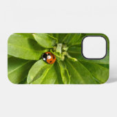 Ladybug auf Blume iPhone Hülle (Rückseite (Horizontal))
