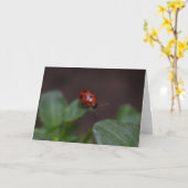 Ladybug auf Blume Karte (Gelbe Blume)