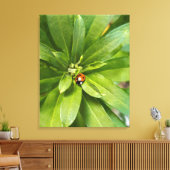 Ladybug auf Blume Leinwanddruck (Insitu (Wohnzimmer))