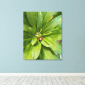 Ladybug auf Blume Leinwanddruck (Insitu (Holzboden))