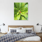 Ladybug auf Blume Leinwanddruck (Insitu (Schlafzimmer))