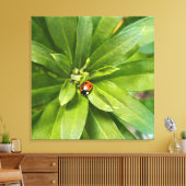 Ladybug auf Blume Leinwanddruck (Insitu (Wohnzimmer))