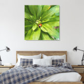 Ladybug auf Blume Leinwanddruck (Insitu (Schlafzimmer))