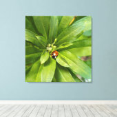 Ladybug auf Blume Leinwanddruck (Insitu (Holzboden))