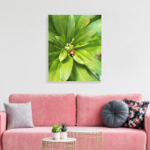 Ladybug auf Blume Leinwanddruck (Insitu (Wohnzimmer))