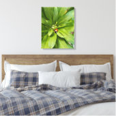 Ladybug auf Blume Leinwanddruck (Insitu (Schlafzimmer))