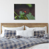 Ladybug auf Blume Leinwanddruck (Insitu (Schlafzimmer))