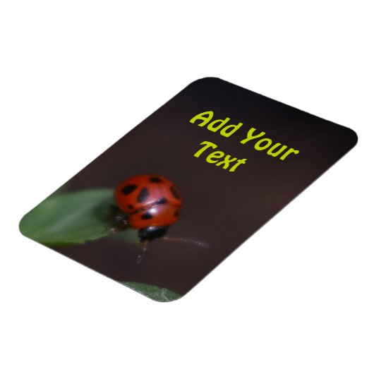 Ladybug auf Blume Magnet (Linke Seite)