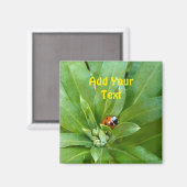 Ladybug auf Blume Magnet (Vorderseite/Rückseite)