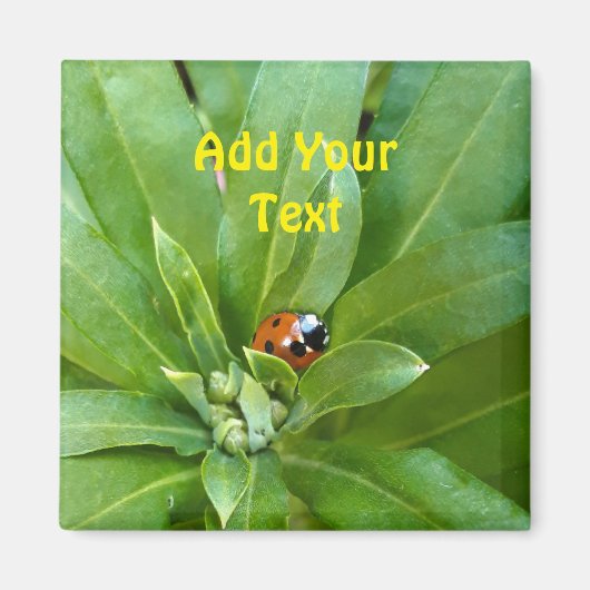 Ladybug auf Blume Magnet (Vorne)