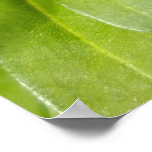 Ladybug auf Blume Poster (Ecke)