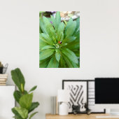 Ladybug auf Blume Poster (Heimbüro)