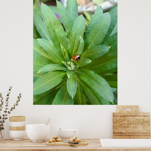 Ladybug auf Blume Poster (Küche)