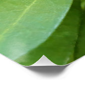 Ladybug auf Blume Poster (Ecke)