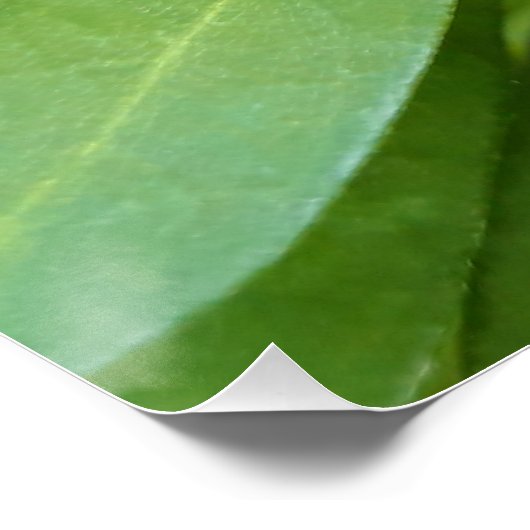 Ladybug auf Blume Poster (Ecke)