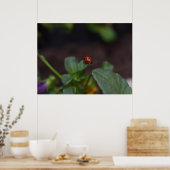 Ladybug auf Blume Poster (Küche)