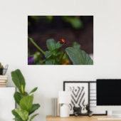 Ladybug auf Blume Poster (Heimbüro)