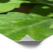 Ladybug auf Blume Poster (Ecke)