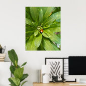 Ladybug auf Blume Poster (Heimbüro)