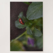 Ladybug auf Blume Puzzle (Vertikal)