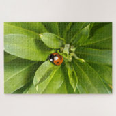 Ladybug auf Blume Puzzle (Horizontal)