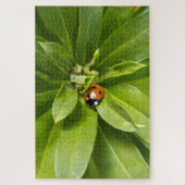 Ladybug auf Blume Puzzle (Vertikal)
