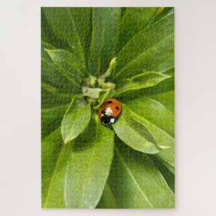 Ladybug auf Blume Puzzle
