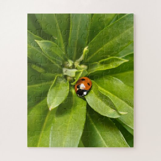 Ladybug auf Blume Puzzle (Vertikal)