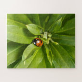 Ladybug auf Blume Puzzle (Horizontal)