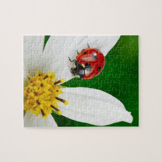 Ladybug auf Blume Puzzle (Horizontal)