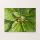 Ladybug auf Blume Puzzle (Horizontal)