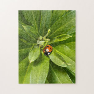 Ladybug auf Blume Puzzle