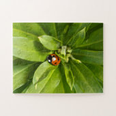 Ladybug auf Blume Puzzle (Horizontal)