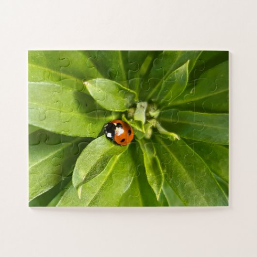 Ladybug auf Blume Puzzle (Horizontal)