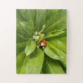Ladybug auf Blume Puzzle (Vertikal)