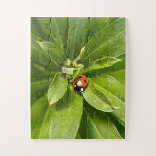 Ladybug auf Blume Puzzle (Vertikal)