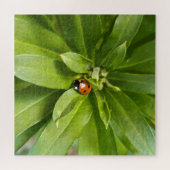 Ladybug auf Blume Puzzle (Horizontal)