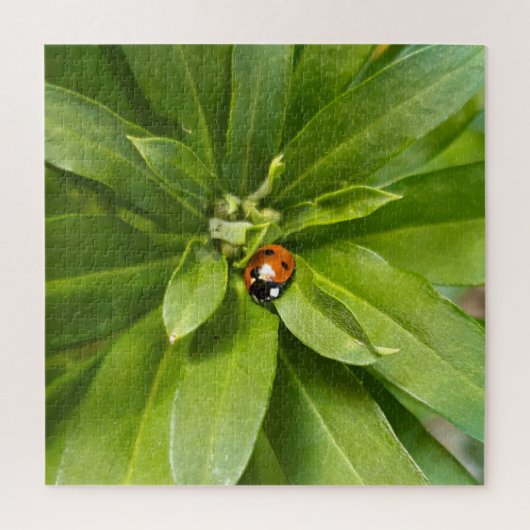 Ladybug auf Blume Puzzle (Vertikal)