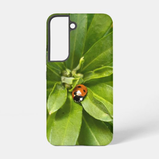 Ladybug auf Blume Samsung Galaxy Hülle (Rückseite)