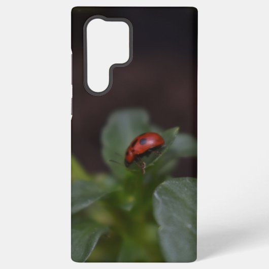 Ladybug auf Blume Samsung Galaxy Hülle (Rückseite)