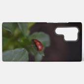 Ladybug auf Blume Samsung Galaxy Hülle (Rückseite (Horizontal))