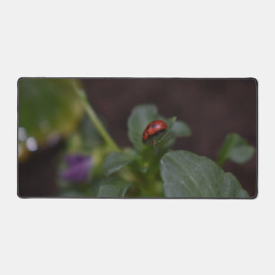 Ladybug auf Blume Schreibtischunterlage