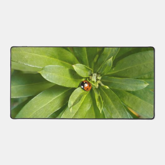 Ladybug auf Blume Schreibtischunterlage (Vorderseite)