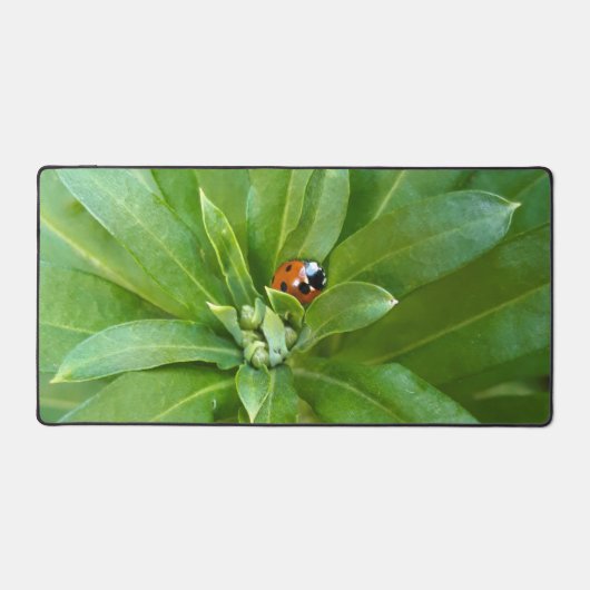Ladybug auf Blume Schreibtischunterlage (Vorderseite)