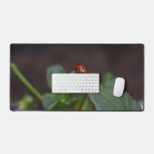 Ladybug auf Blume Schreibtischunterlage (Tastatur & Maus)